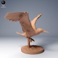 blue_footed_booby_fly_3.jpg