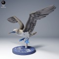 blue_footed_booby_fly_4.jpg