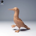 blue_footed_booby2_1.jpg