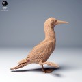 blue_footed_booby2_2.jpg