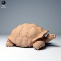35130274_galapagos_tortoise_lying_2.jpg