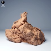 35130276_marine_iguana_1.jpg