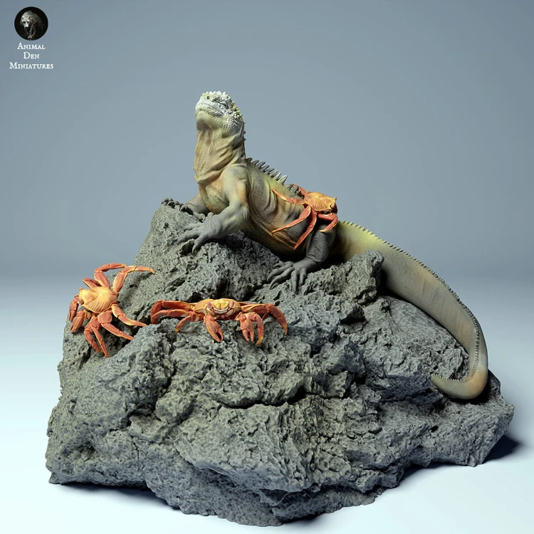 35130276_marine_iguana_3.jpg