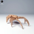 35130277_sally_lightfoot_crab_2.jpg
