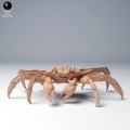 35130277_sally_lightfoot_crab_3.jpg