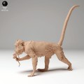 35130278_macaque_glasses_1.jpg