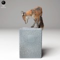 35130443_red_fox_trash_4.jpg