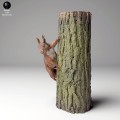 35130445_red_squirrel_tree_3.jpg