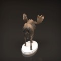 35130446_moose-4.jpg