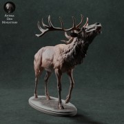 35130447_red-deer-call-2.jpg