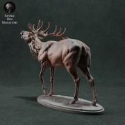 35130447_red-deer-call-4.jpg