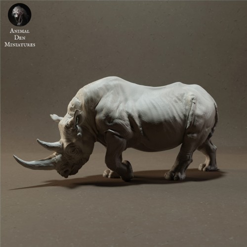 black-rhino-1.jpg