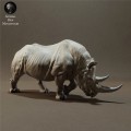 black-rhino-2.jpg
