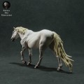 35130281_camargue-horse-3.jpg
