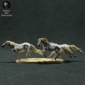 35130283_camargue-horses-running-6.jpg