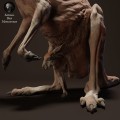 35130286_kangaroo-joey-puch-3.jpg