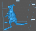 35130287_kangaroo-standing-4.png
