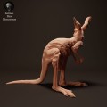 35130288_kangaroo-joey-2.jpg