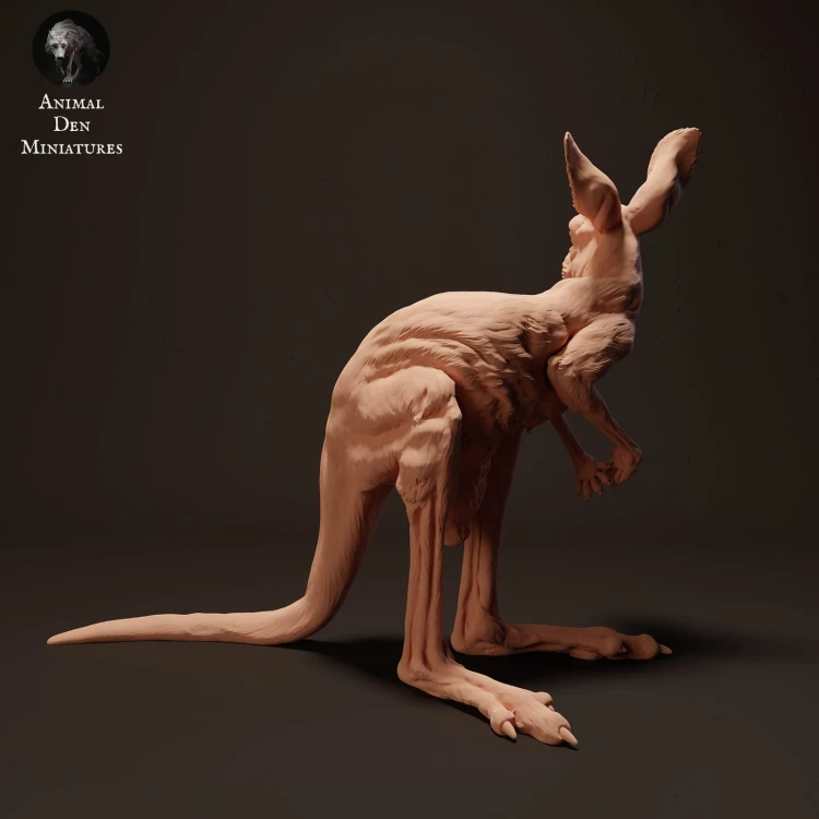 35130288_kangaroo-joey-2.jpg