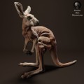 35130288_kangaroo-joey-3.jpg