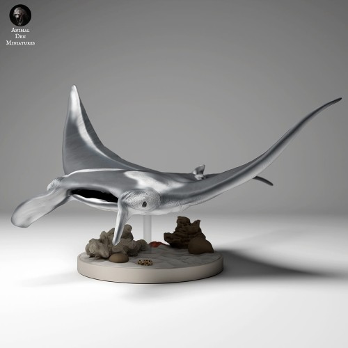35130269_reef_manta_3.jpg