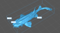 35130271_spotted_wobbegong_4.png