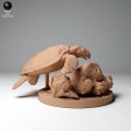 35130267_hawksbill_turtle_feed_2.jpg
