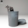 35130437_racoon_in_trash_4.jpg