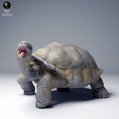 35130273_galapagos_tortoise_eat_4.jpg