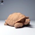 35130274_galapagos_tortoise_lying_3.jpg