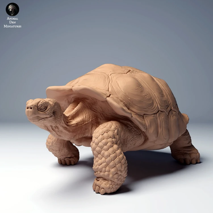 35130275_galapagos_tortoise_walk_2.jpg
