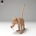 35130278_macaque_glasses_2.jpg