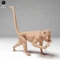 35130278_macaque_glasses_3.jpg