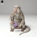 35130279_macaque_phone_3.jpg