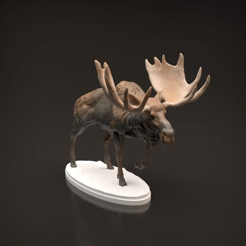 35130446_moose-1.jpg