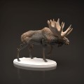 35130446_moose-2.jpg