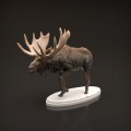 35130446_moose-7.jpg