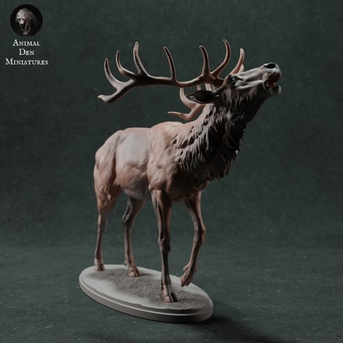 35130447_red-deer-call-2.jpg