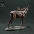 35130447_red-deer-call-3.jpg