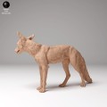 35130440_red_fox_1.jpg