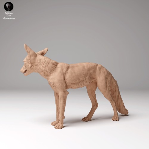 35130440_red_fox_1.jpg