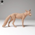 35130440_red_fox_4.jpg