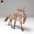 35130442_red_fox_squirrel_3.jpg
