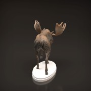 35130446_moose-4.jpg