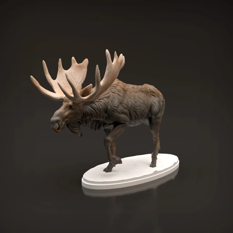 35130446_moose-7.jpg