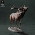 35130447_red-deer-call-2.jpg