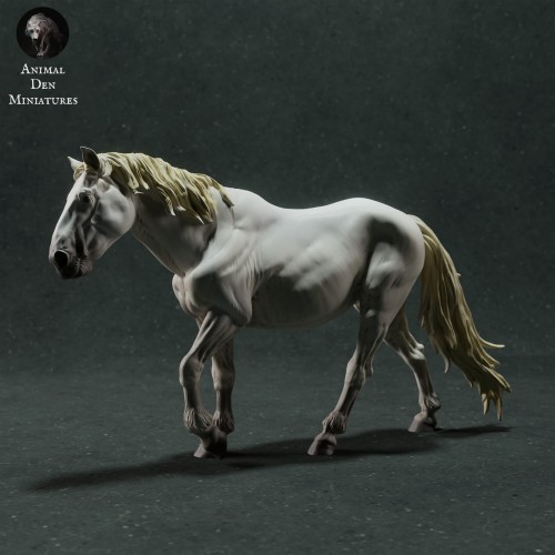 35130281_camargue-horse-0.jpg