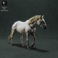 35130281_camargue-horse-1.jpg
