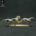 35130283_camargue-horses-running-5.jpg