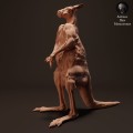 35130287_kangaroo-standing-3.jpg
